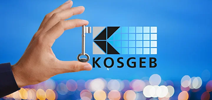 KOSGEB ve TÜBİTAK Teşvik Yönetimi: İnovasyonun Finansal Mimarisi
